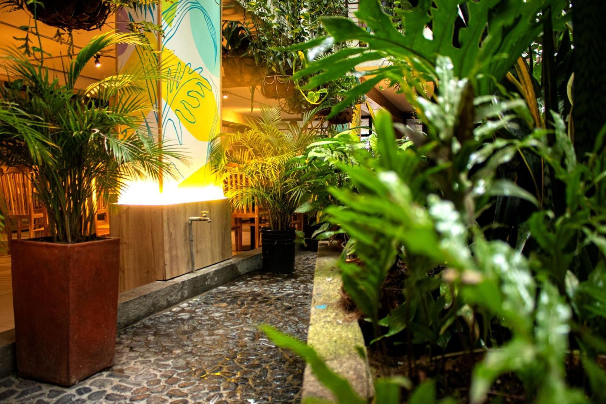 Green Hotel Natural Medellín Kültér fotó