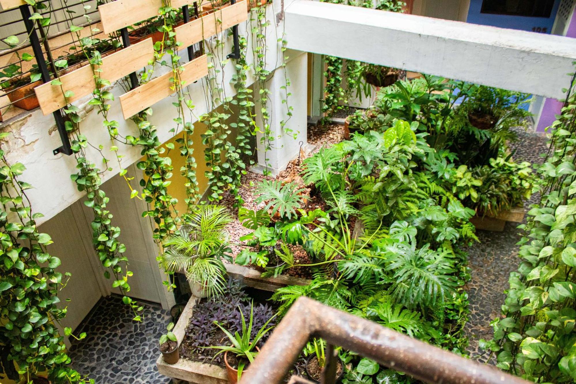Green Hotel Natural Medellín Kültér fotó